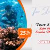 Tour 2 đảo Nha Trang - Lặn biển ngắm san hô 14 Tour 2 đảo Nha Trang