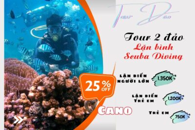 Tour 2 đảo Nha Trang - Lặn biển ngắm san hô 10 Tour 2 đảo Nha Trang