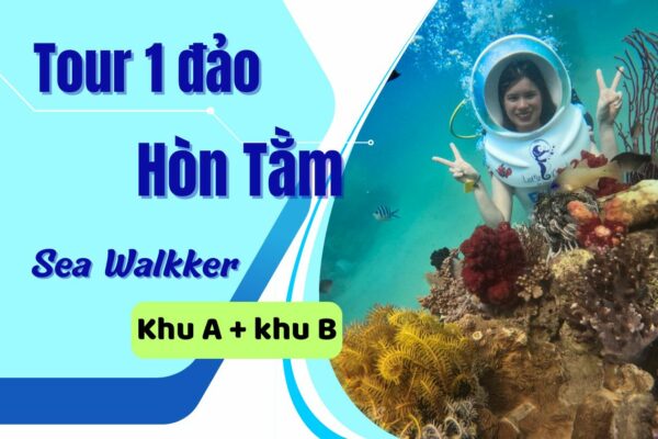 Tour 1 đảo Nha Trang Hòn Tằm - Đi bộ dưới đáy biển