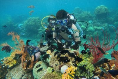 tour 1 đảo nha trang hòn tằm lặn bình khí