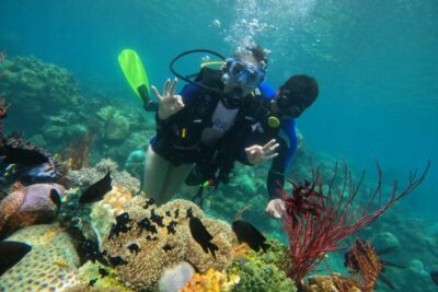 tour 1 đảo nha trang hòn tằm lặn bình khí