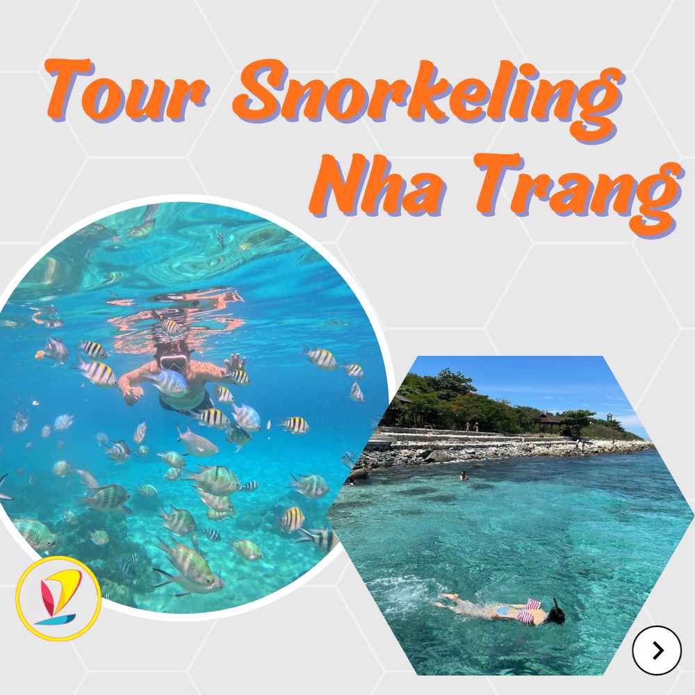 Tour 3 đảo Nha Trang 3 Tour Snorkeling