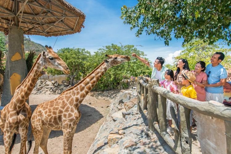 vé vinpearl nha trang