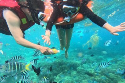 Tour Hòn Mun Hòn Tằm Làng Chài 18 Tour 3 đảo Vip Nha Trang