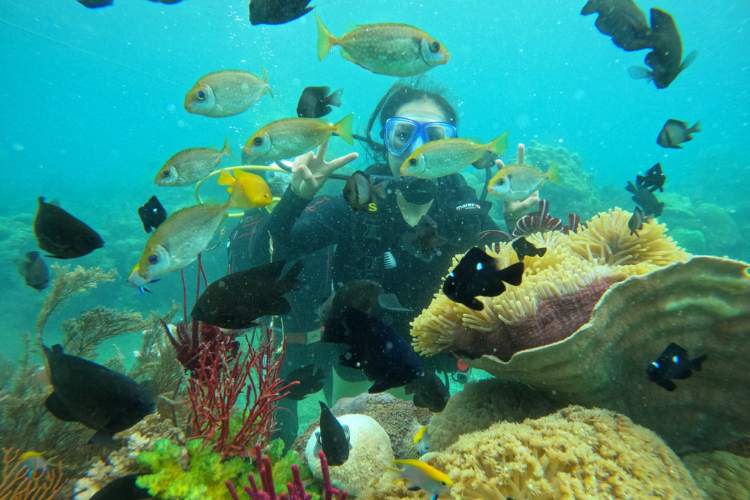 Thư viện ảnh Hòn Tằm 37 hòn tằm nha trang