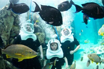 di bo duoi day bien 002