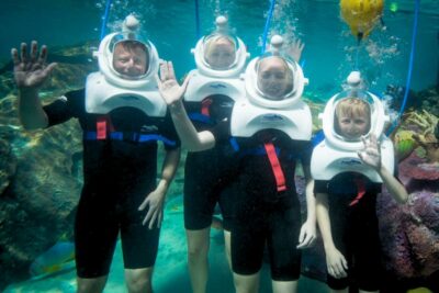 di bo duoi day bien 003